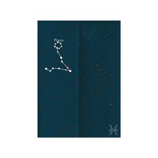 Vinterior星座隔間門簾, TYPE 08