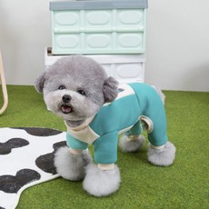 파스텔펫 반려동물 서커스 극세사 올인원, 그린, 1개