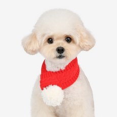 올치 반려동물 포근이 목도리, 레드, 1개