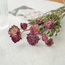 GAPANG 玫瑰乾花DRYB155, 04號（粉色）