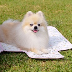 킁킁 강아지 슝슝 산책용 방수매트, 딸기스무디, 1개