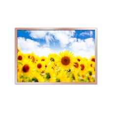 鋁製相框 + 海報 Money Flower H 套組, 香檳色