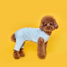 Flot 狗狗舒適無袖連身衣, 天空薄荷