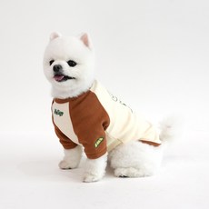 Peanuts 狗狗 Parisdog 復古棒球袖T恤, 1個, 棕色