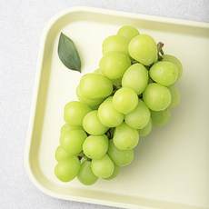 엄마는농부 당도선별 샤인머스캣, 1개, 500g