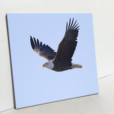 UDP 磁磚相框 單品 A型 3903634, 白色素面