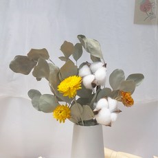 GAPANG 乾花06號 DRYD019, 混色