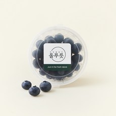 올푸릇 유기농 인증 왕 블루베리, 1개, 100g