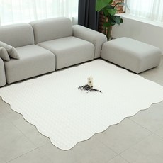 可水洗兩用地墊