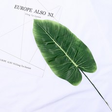 스토어91 尤加利樹拍攝道具 J, 混合色, 1個