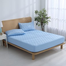 Ishur 伊舒爾 3M防潑水石墨烯保潔墊