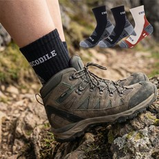 Crocodile 鱷魚 女款運動中筒雙層氣墊網眼綜合登山襪3雙組 CD394, 黑色, 米色, 1套