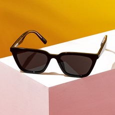 Reclow 太陽鏡 RECLOW FB211 黑色