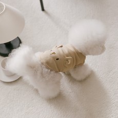 PETSLAND 寵物 I'm Bear T恤, 1個, 摩卡色