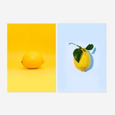 WEMODERN 水果風水室內裝飾普普藝術海報2件組
