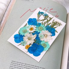 Lovely Farm 乾燥花 押花 28件 DIY套組, 1套, 天空花園