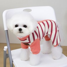 딩동펫 반려동물 배색 스트라이프 올인원 하네스, 1개, 핑크