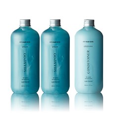 FIT YOUR SKIN San tteut 洗髮精 500ml 2入+潤髮乳 500ml, 1套