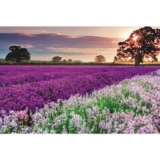 직소퍼즐 모음, 1000피스, 15, 1개