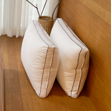 HUEGARD 舒眠枕芯, 2個, 白色