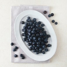 다조은 칠레산 블루베리, 1개, 310g
