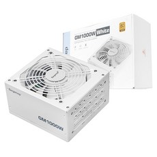 Segotep 鑫谷 GM1000W 全模組化 ATX 3.1 PCIE5.1 白色 GM1000W WT