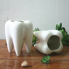 牙齒造型陶瓷室內花盆 YT_RA012, 白色, 1個