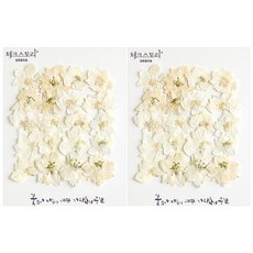 checkstory Lakspu壓花40p, 白B級