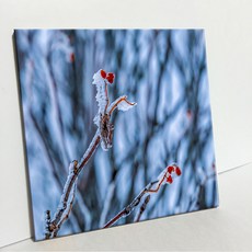 UDP 瓷磚相框 單品 A型 3911188, 白色素面