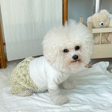 bydamsoomi 狗狗格紋泡泡連身衣, 綠色