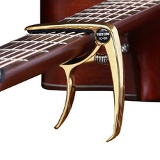 트리톤테오 기타카포 05, 1개