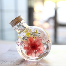 THE VOM 浮游花永生花氣氛燈, 百日菊(馬卡龍粉)