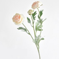 Ju and Ji 室內裝飾牡丹人造花 52cm 3入, 香檳色