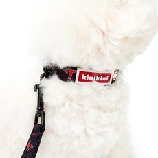 키니키니 강아지 XLG트윈스 어센틱 목줄, 블랙, 1개