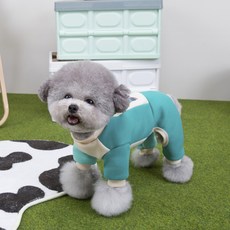 쿠펫츠 강아지 컬러블록 올인원, 블루, 1개