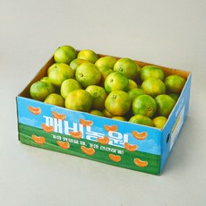 깨비농원 감귤, 1개, 5kg(로얄과)