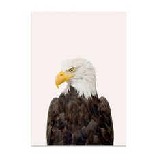 幼兒動物擬真配電箱插畫織品海報 老鷹