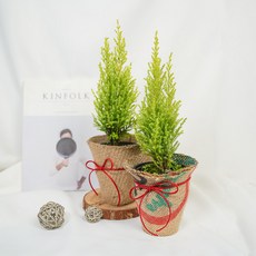 갑조네 율마 2입 + 소품 커버 2종 세트, 혼합색상, 1세트