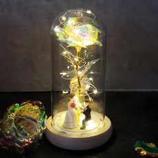 玫瑰玻璃圓頂燈, 婚禮新娘和新郎_全息圖