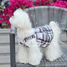 칠시 반려동물 체크무늬 스커트, 블랙, 1개