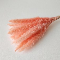 JM人造小蘆葦 2入, 橙紅色