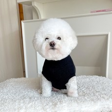 BYDAMSOOMI 寵物服飾 針織領, 黑色