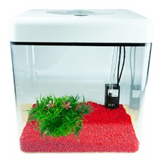 Rora Pet 壓克力方形LED魚缸+彩石+人造水草 2件組 L號, 隨機發貨（魚缸），櫻桃紅（石）