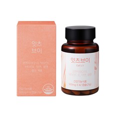 네츄럴굿띵스 잇츠브이 영양제 21g, 1개, 42정