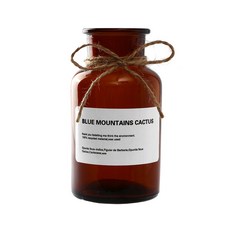 감성 소품 레터링 꽃병 250ml 3p, 브라운