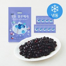 웰프레쉬 칠레산 블루베리 (냉동), 10개, 1kg