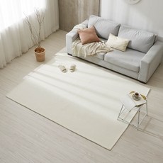 이니띠움 워셔블 컬러 팝 러그