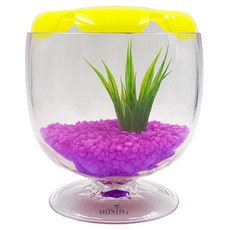 Rora Pet Most Pet酒紅色水族箱, 丁香紫