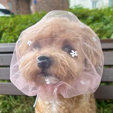 멍템 강아지 플라워 페이스커버, 핑크, 1개