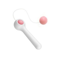 펫트롱 매직봉 고양이 장난감, 핑크, 1개